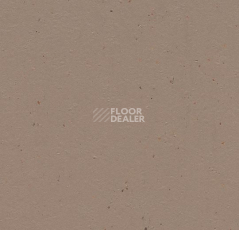 Линолеум Forbo Marmoleum Decibel on Order 358035 milk chocolate фото 1 | FLOORDEALER